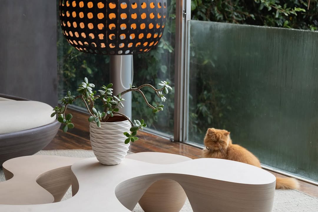 SaveClip.App 511478770 18397555945113895 8099153190490999029 n